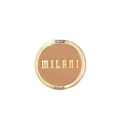 Conceal + Perfect Shine-Proof Powder