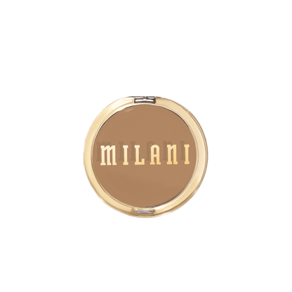 Conceal + Perfect Shine-Proof Powder