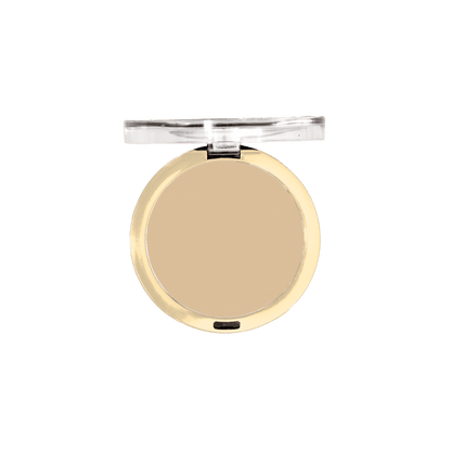 Conceal + Perfect Shine-Proof Powder