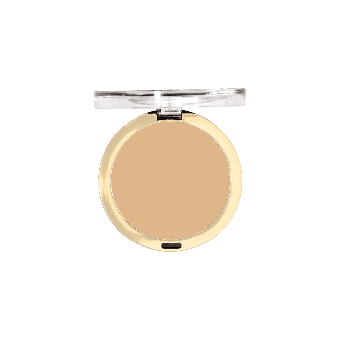 Conceal + Perfect Shine-Proof Powder