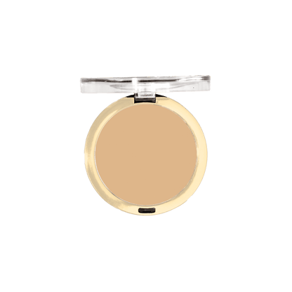 Conceal + Perfect Shine-Proof Powder