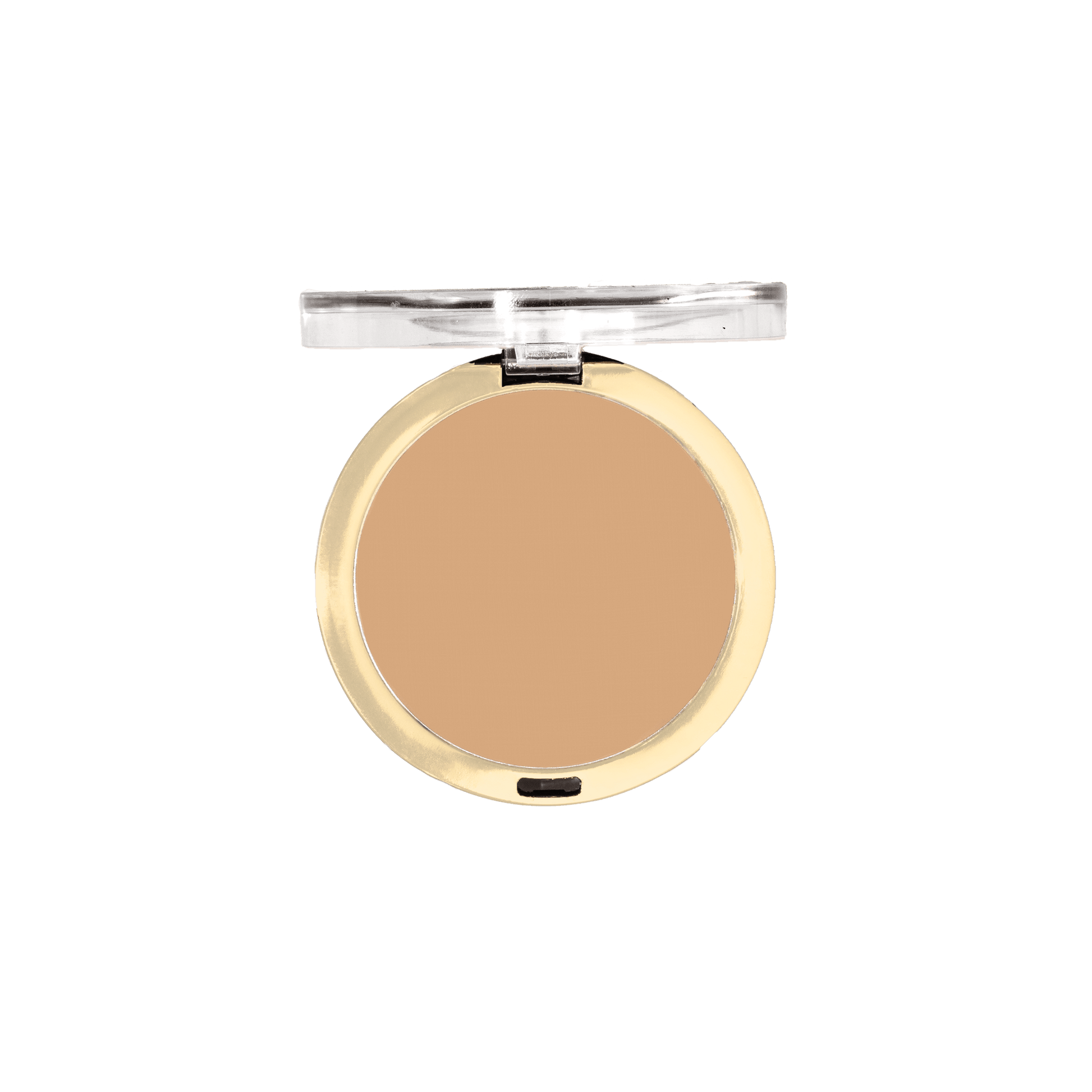 Conceal + Perfect Shine-Proof Powder