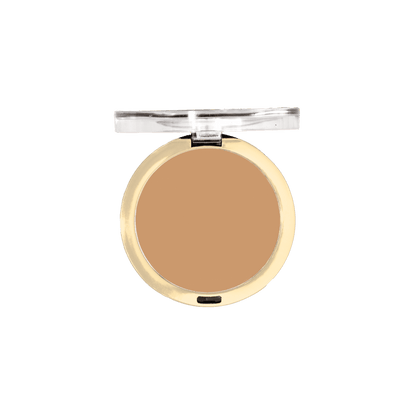 Conceal + Perfect Shine-Proof Powder