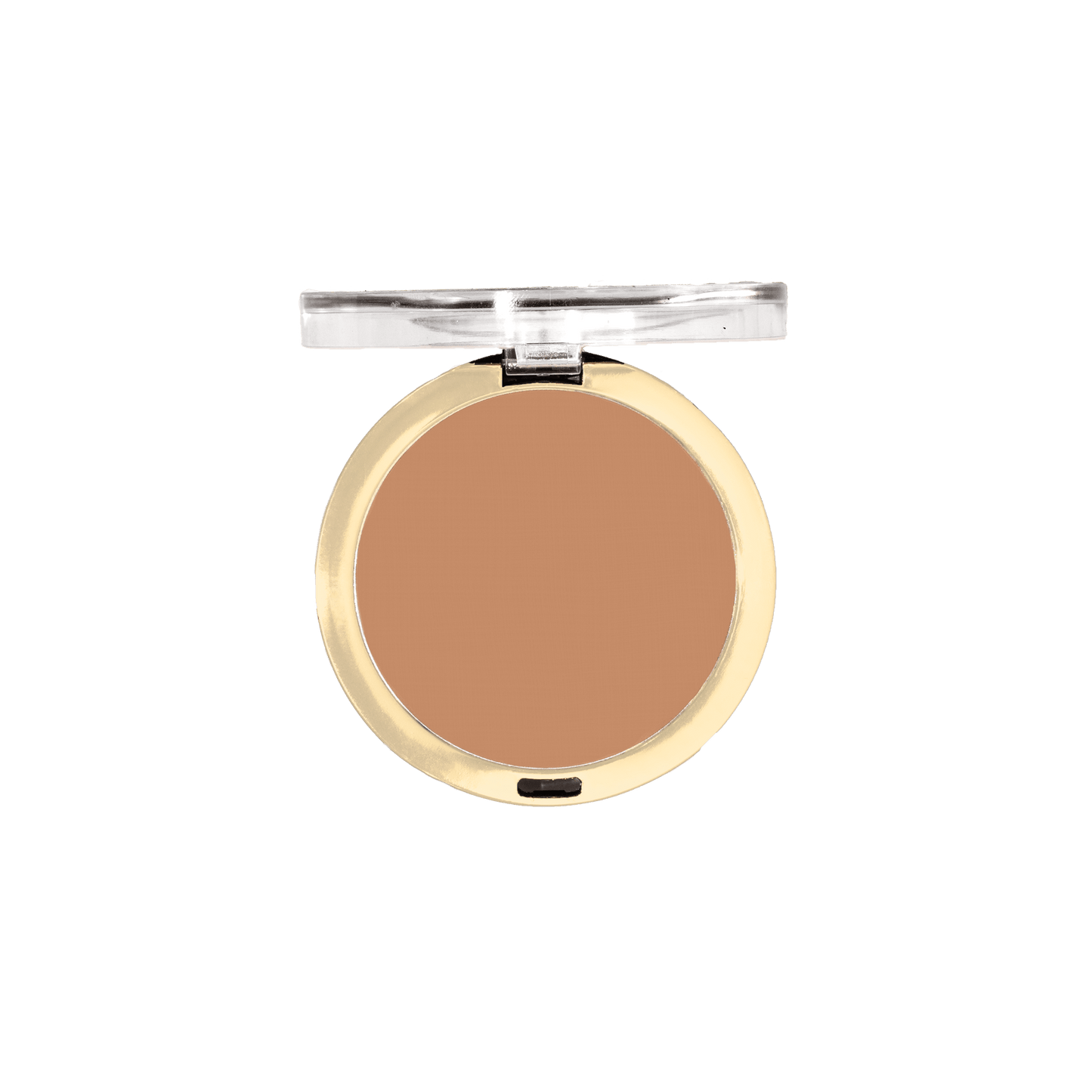 Conceal + Perfect Shine-Proof Powder