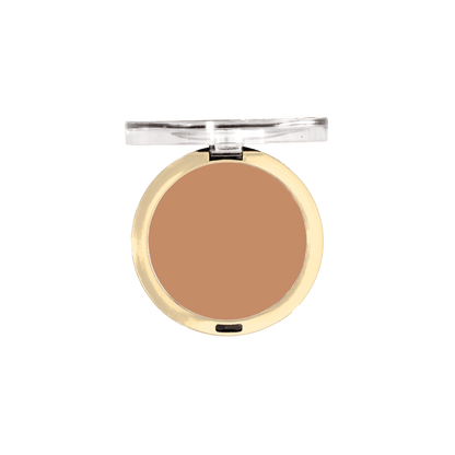Conceal + Perfect Shine-Proof Powder
