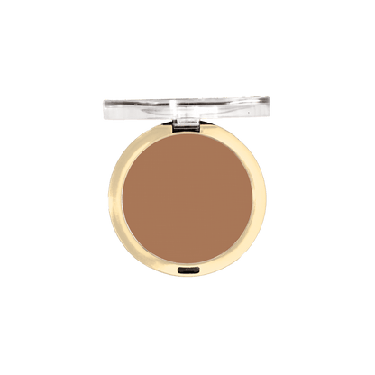 Conceal + Perfect Shine-Proof Powder