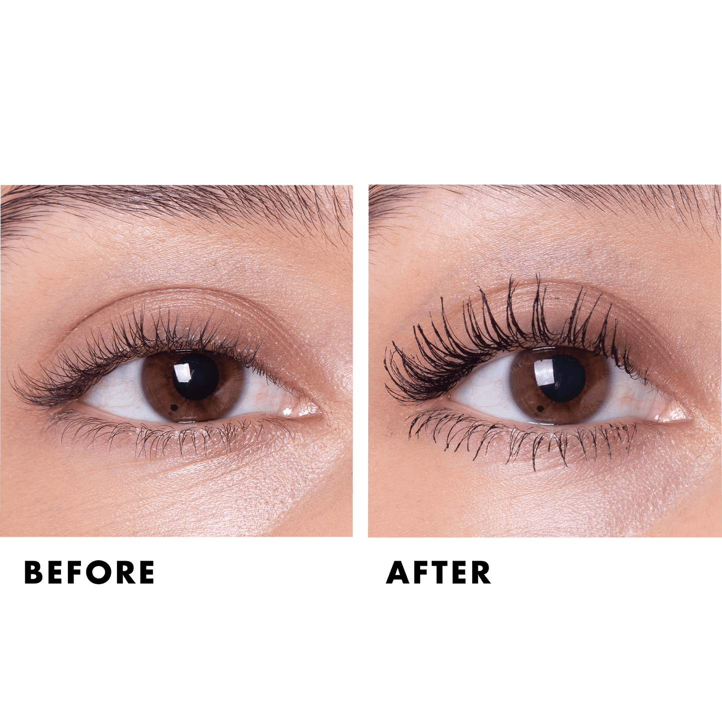 Highly Rated Lash Extensions Mascara